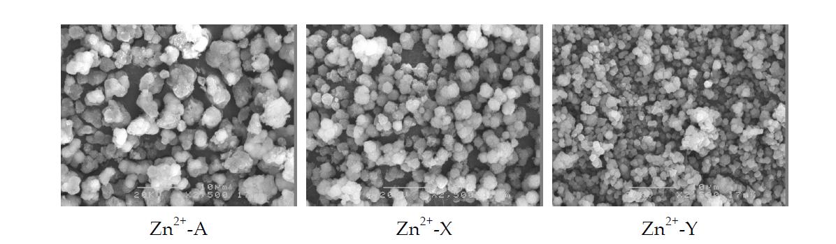 Zn2+ 이온으로 교환된 제올라이트 A, X 및 Y의 SEM 이미지