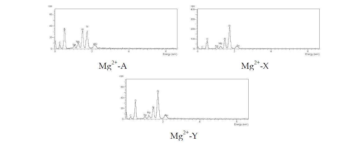Mg2+ 이온으로 교환된 제올라이트 A, X 및 Y의 EDS 스펙트럼