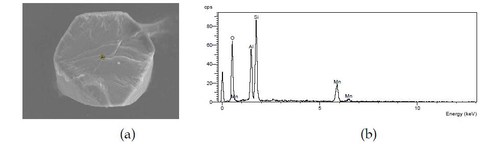 Mn2+ 이온으로 교환된 제올라이트 Y 단결정을 반으로 쪼개진 면의 SEM 이미지 (a)와 EDX 스펙트럼