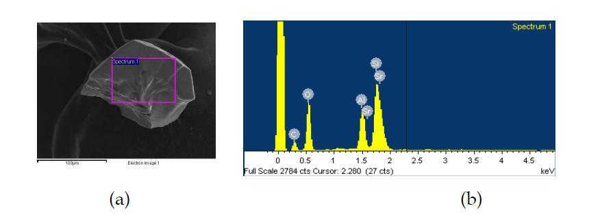 Sr2+ 이온으로 교환된 제올라이트 Y 단결정을 반으로 쪼개진 면의 SEM 이미지 (a)와 EDX 스펙트럼