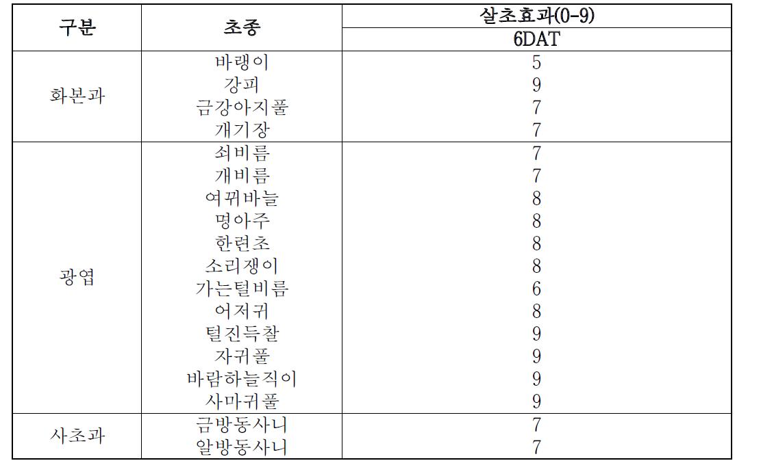 Chrysophanic acid 15,000ppm에서의 제초활성.