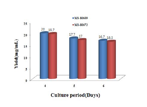 최적 배양조건에서 방선균 MS-80659와 MS-80673 배양액 농축물의 수율.