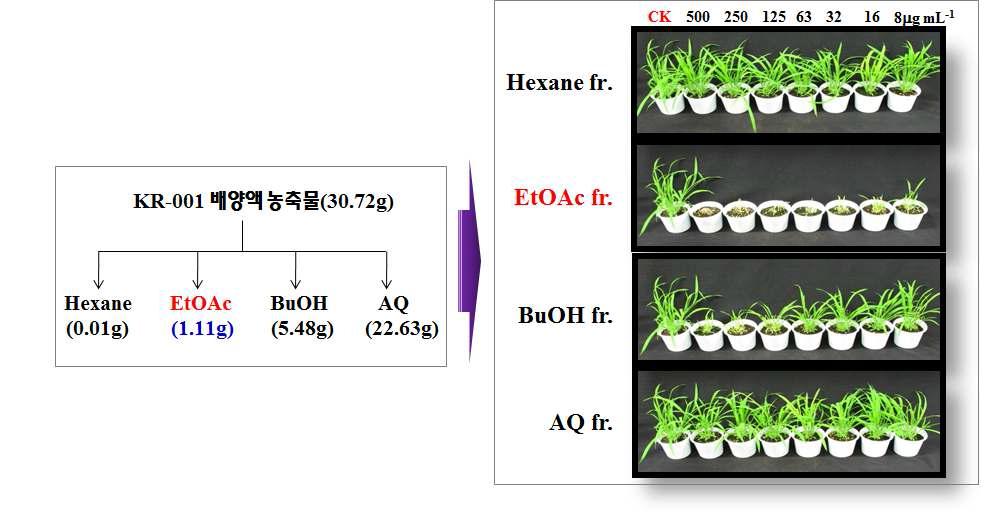 S. scopuliridis KR-001 균주 배양액의 용매 분획별 살초력.