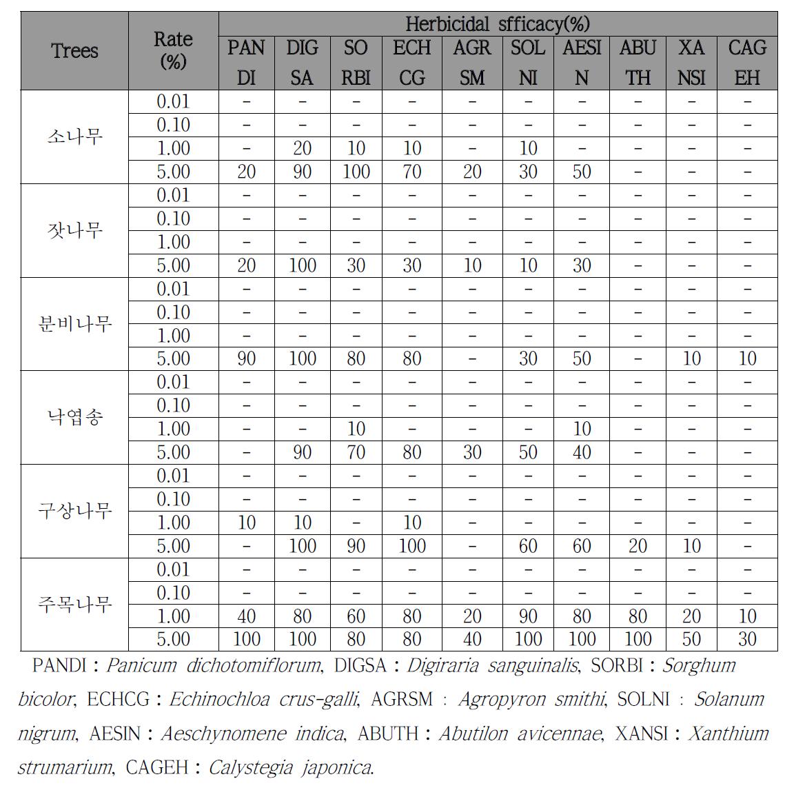 국내 자생 침엽수림 6종 정유의 온실실험 결과.