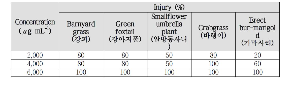 포장조건에서 Chrysophanic acid (3%)의 살초력.