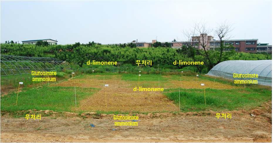 d-Limonene 1년차 등록시험 - 경기 오산.