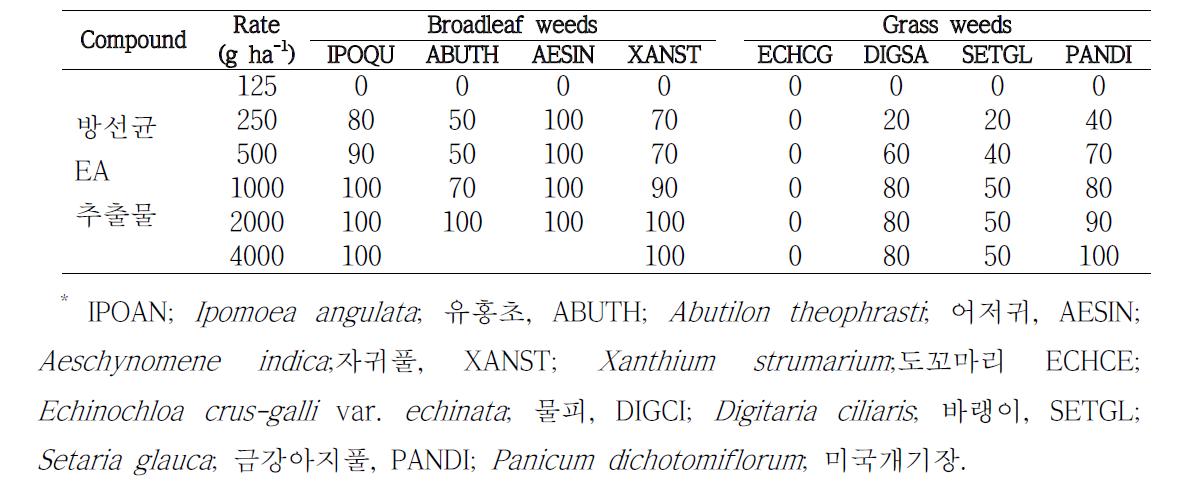 온실조건에서 방선균 EA추출물의 경엽처리 방제효과.