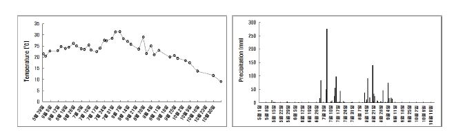 그림 2. 연도별 강수량 및 평균기온 변화.