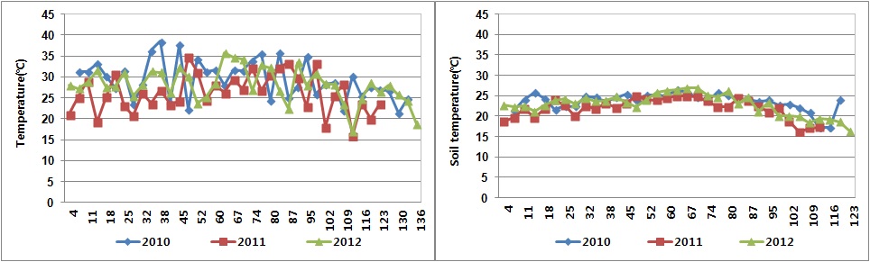 그림 29. 벼 재배 기간 중 대기 온도(좌) 및 토양 온도(우) 변화.