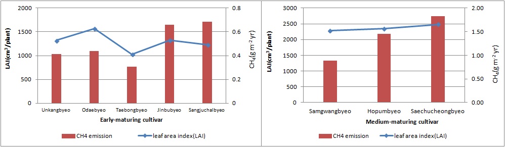 그림 31. 벼 품종에 따른 CH4 발생량과 엽면적 지수와의 관계.