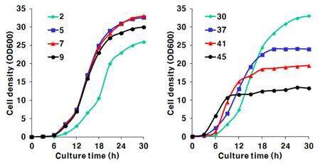 Fig. 4-61. Effects of pH (left) and temperature (right) on the growth of I. orientalis KMBL5774 in YPD media.