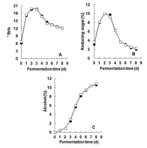 Fig. 5-5. Changes in the contents of soluble solid (A), reducing sugar (B) and alcohol (C) during rice takju fermentation with mixed culture of freeze dried S. cerevisiae SHY111 and I. orientalis SH10 cells.