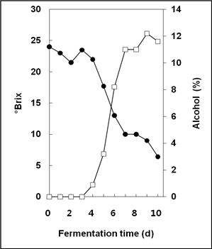 Fig. 1-12. Changes in the soluble solid and alcohol contents during wine fermentation of wild grapes.