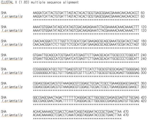 Fig. 2-4. Homology of ITSI-5.8S-ITSII sequences of the strain SHA with those of I. orientalis .