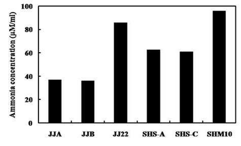 Fig. 3-8. Urease activity of various yeast strains isolated from korean nuruk .