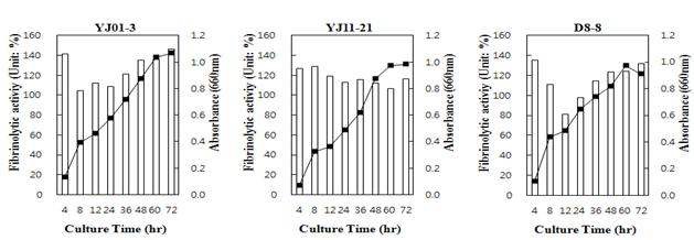 Fig. 4-1. The effect of fibrinolytic enzyme activities and cell growth on culture time of the strain YJ01-3, YJ11-21 and D8-8.