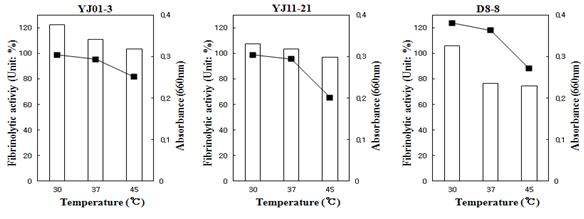 Fig. 4-6. The effect of fibrinolytic enzyme activities and cell growth due to temperature.