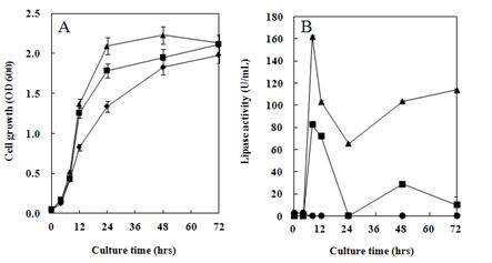 Fig. 4-7. Time course of lipolytic enzyme activities in the strain Y124 at culture medium.