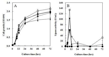Fig. 4-8. Time course of lipolytic enzyme activities in the strain Y124 at olive oil concentration.