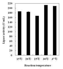 Fig. 4-10. Effect of reaction temperature on activity of lipolytic enzyme activities in the strain Y124.