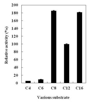 Fig. 4-11. Substrate specificity of lipolytic enzyme activities in the strain Y124 using p -nitrophenyl acetate (C2), p -nitrophenyl butyrate (C4), p -nitrophenyl octanoate (C8), p -nitrophenyl dodecanoate (C12), p -nitrophenyl palmitate (C16). O.D. 405 nm value after lipase assay with p -nitrophenyl dodecanoate (C12) was counted as 100%.