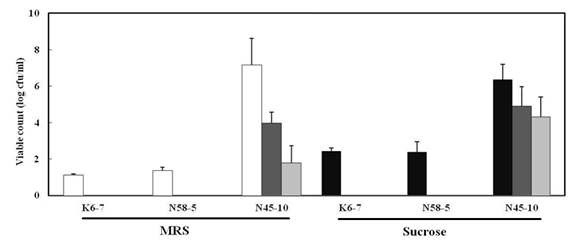 Fig. 4-13. Bile resistance of EPS producing isolates against 0.3% and 0.5% oxgall after treatment for 2 h in artificial gastric juice of pH 3.0. Cells were precultured in MRS medium at 37℃ for 48 h → treated in artificial gastric juice for 2 h ( ) or in sucrose medium at 37℃ for 48 h → treated in artificial gastric juice for 2 h ( ) → and than in 0.3% oxgall( ) and 0.5% oxgall( ) for 24 h.
