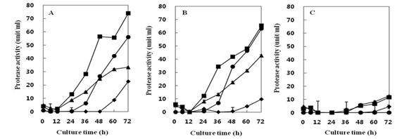Fig. 4-21. Effects of temperature on the protease activity of Bacillus subtilis 4-1(A), Bacillus subtilis FGK 03-02(B), Bacillus subtilis KACC 10114(C) isolated from Korean traditional food.