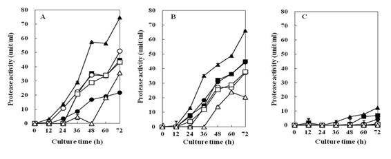 Fig. 4-23. Effects of pH on the protease activity of Bacillus subtilis 4-1(A), Bacillus subtilis FGK 03-02(B), Bacillus subtilis KACC 10114(C) isolated from Korean traditional food.