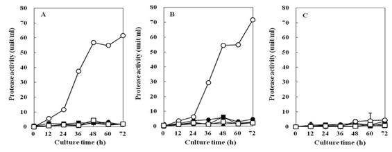 Fig. 4-27. Effects of nitrogen sources on the protease activity of Bacillus subtilis 4-1(A), Bacillus subtilis FGK 03-02(B), Bacillus subtilis KACC 10114(C) isolated from Korean traditional food.
