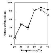 Fig. 4-30. Effects of temperature on activity of the protease produced by Bacillus subtilis 4-1 and Bacillus subtilis FGK 03-02.