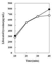 Fig. 4-32. Amount of tyrosine liberated in 0.6% casein solution by crude protease of Bacillus subtilis 4-1 and Bacillus subtilis FGK 03-02 with reaction time.