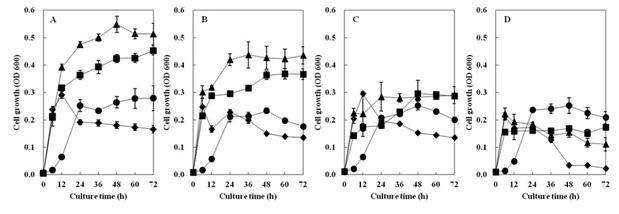 Fig. 4-35. Effects of temperature on the growth of Bacillus subtilis 4-1(A), Bacillus subtilis FGK 03-02(B), Bacillus subtilis YJ 11-1-4(C), Bacillus subtilis KACC 10114(D) isolated from Korean traditional food.
