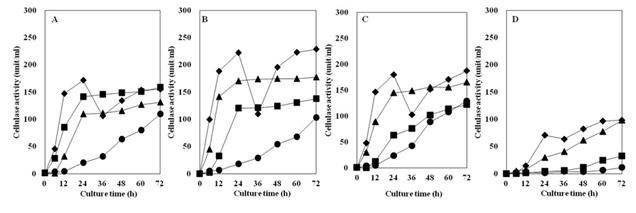 Fig. 4-36. Effects of temperature on the protease activity of Bacillus subtilis 4-1(A), Bacillus subtilis FGK 03-02(B), Bacillus subtilis YJ 11-1-4(C), Bacillus subtilis KACC 10114(D) isolated from Korean traditional food.