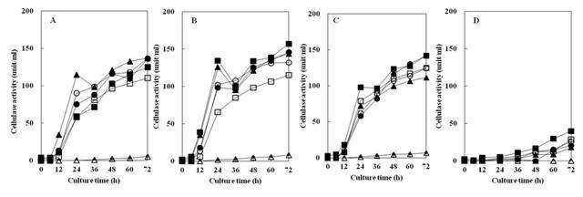 Fig. 4-38. Effects of pH on the protease activity of Bacillus subtilis 4-1(A), Bacillus subtilis FGK 03-02(B), Bacillus subtilis YJ 11-1-4(C), Bacillus subtilis KACC 10114(D) isolated from Korean traditional food.