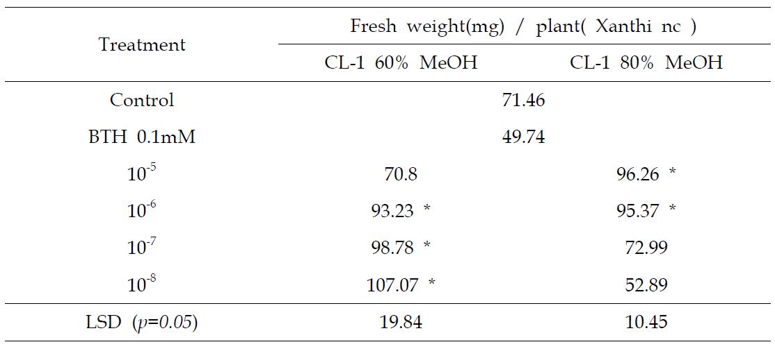 CL-1 생산 메탄올 활성분획 처리에 의한 담배 생육촉진 효과검정(Cell culture plate assay)