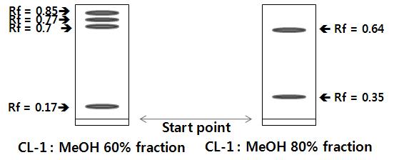 생육촉진 활성 분획의 TLC 분석