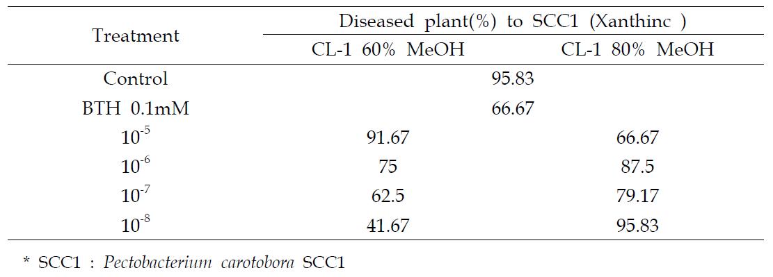 CL-1 생산 메탄올 활성분획 처리에 의한 담배의 SCC1 억제효과