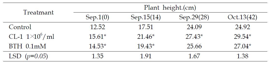 Fungal Volatile CL-1 균주 포자 현탁액 처리에 의한 고추 생육 비교