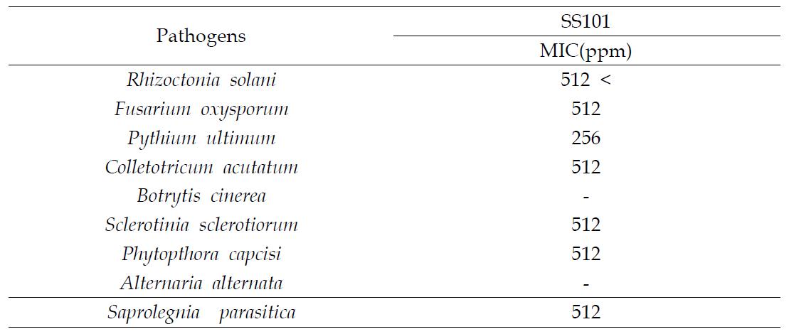 Minimum inhibitory concentration against major fungal pathogens by crude CLP from SS101