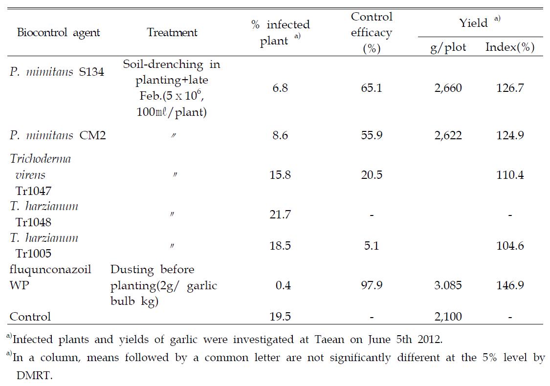Effect of biological control on garlic white rot by treatment with mycoparasite fungi including P. minitans S134 in field in Taean in 2012