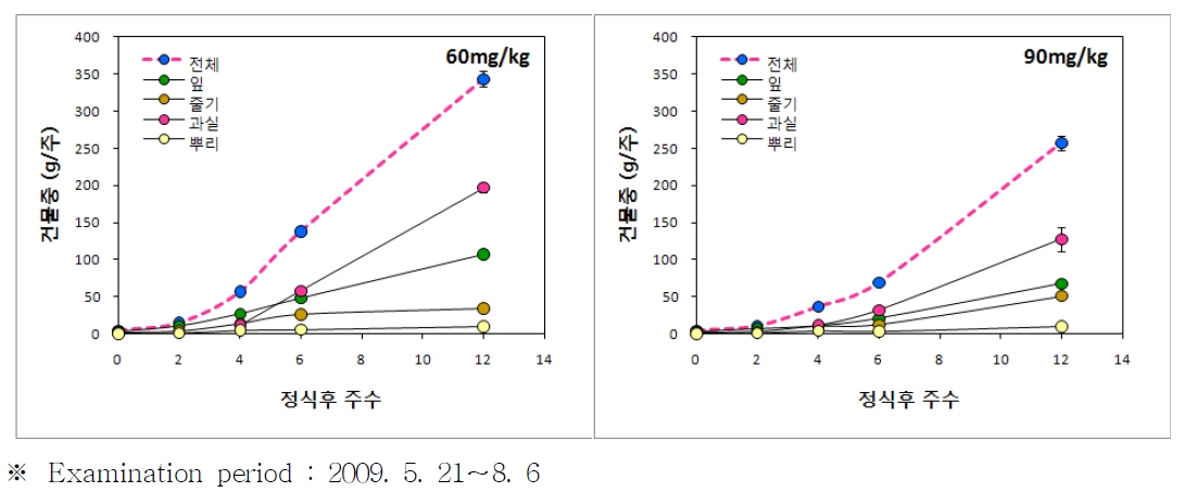 Figure 1-3. Changes in dry weight of fertigated tomato plants (‘Rafito’ cultivar) according to soil nitrogen contents (’09).