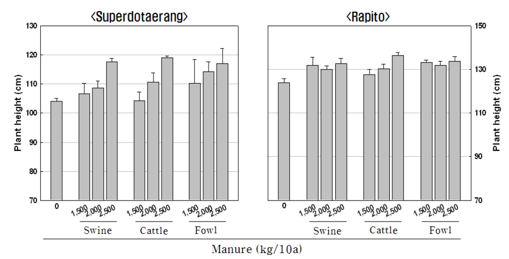 Figure 2-3. Comparison of plant height by application of swine, cattle and fowl manure in Superdotaerang and Rapito cultivars.