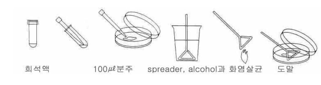 Diagram of spread plate method.