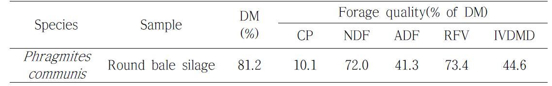 Silage quality of crude protein(CP), neutral detergent fiber(NDF), acid detergent fiber(ADF), relative feed value(RFV) and in vitro DM digestibility (IVDMD) of Phragmites communis in Ansan, 2010