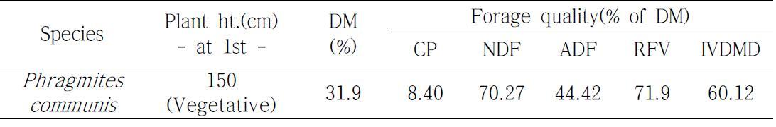 Dry matter(DM) percentage and forage quality of crude protein(CP), neutral detergent fiber(NDF), acid detergent fiber(ADF), relative feed value (RFV) and in vitro DM digestibility(IVDMD) of Phragmites communis in Haenam, 2010