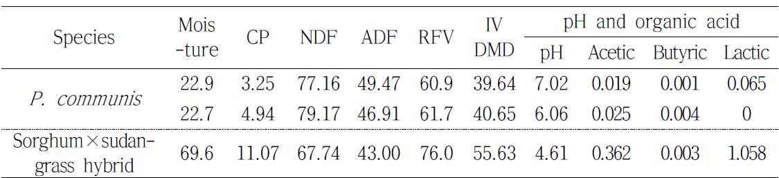 Silage quality of crude protein(CP), neutral detergent fiber(NDF), acid detergent fiber(ADF), relative feed value(RFV) and in vitro DM digestibility (IVDMD), silage pH, and organic acid of Phragmites communis and sorghum×sudangrass hybrid in Haenam, 2010(% of DM)