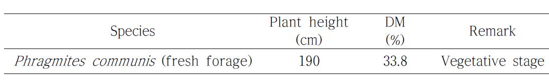 Plant height and dry matter(DM) percentage of experimental Phragmites communis feed