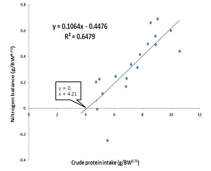 Estimation of crude protein requirements(4.21 g/BW0.75) for maintenance in Hanwoo heifers at the puberty period by regression between CP intake and N balance.