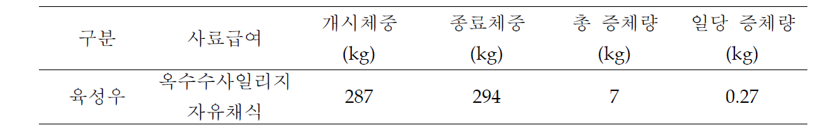 옥수수사일리지 단일 급여시 체중변화