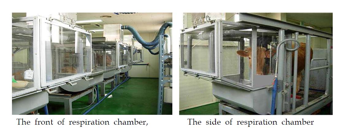 The hood type respiration chamber system